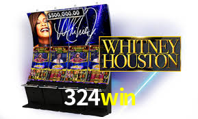 Premium Interface 324win
